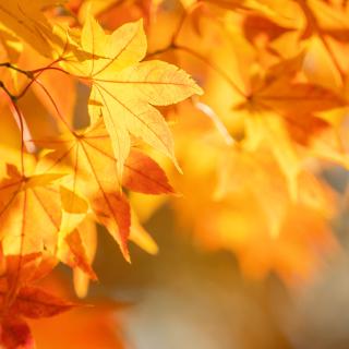 Najlepszy w województwie lubelskim!